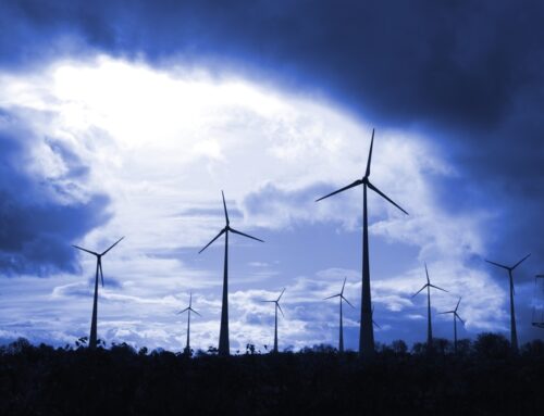 Windenergieanlagen: Grüne Lobbyistin völlig durchgedreht?