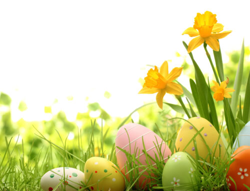 Die Redaktion des Freiburger Standards wünscht all seinen Lesern ein frohes und gesegnetes Osterfest!