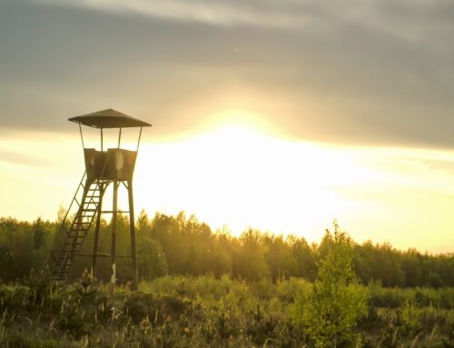 Neues Waffengesetz ein Rohrkrepierer? Auch Jäger und Sportschützen haben von rot-grüner Gängelung die Nase voll