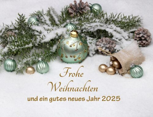 Frohe Weihnachten und ein gutes neues Jahr 2025