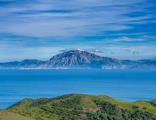 Das historische Kalenderblatt – Der letzte Versuch einer Invasion der iberischen Halbinsel durch eine muslimische Armee